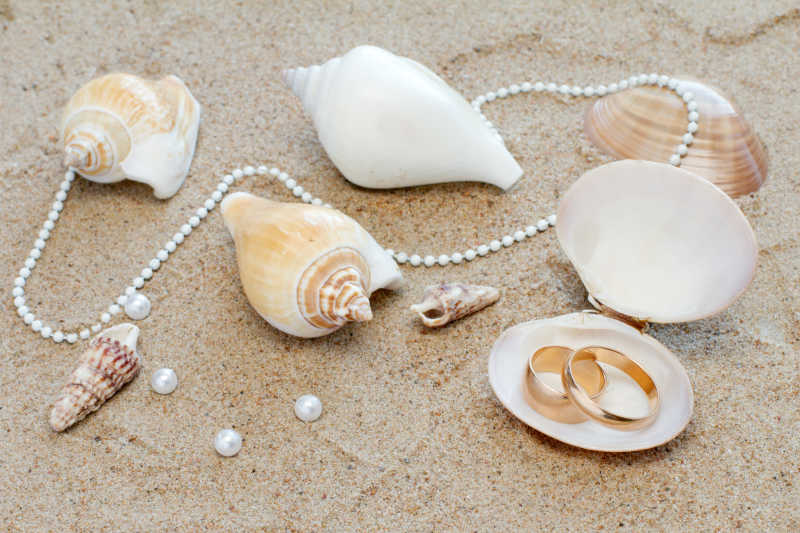 沙滩上的海螺和项链