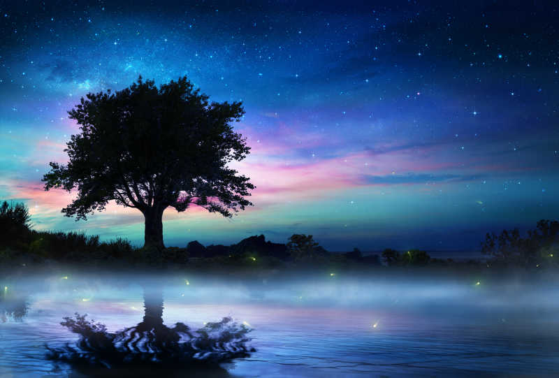 炫彩星夜下孤独的树