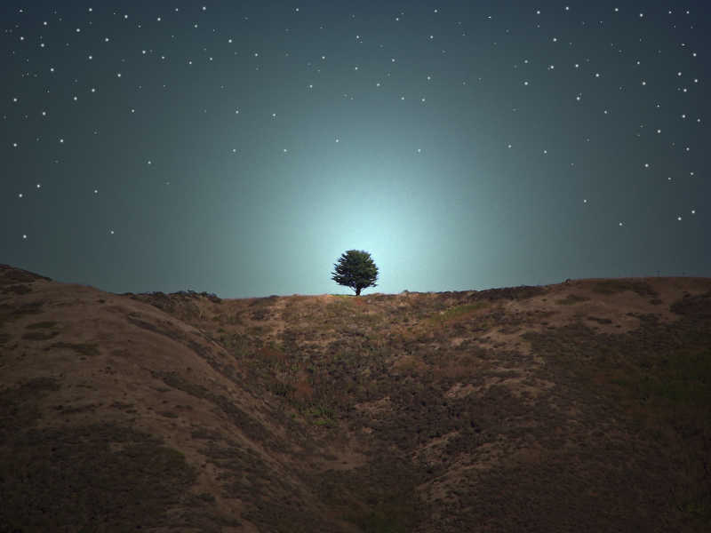 星空下的一棵树