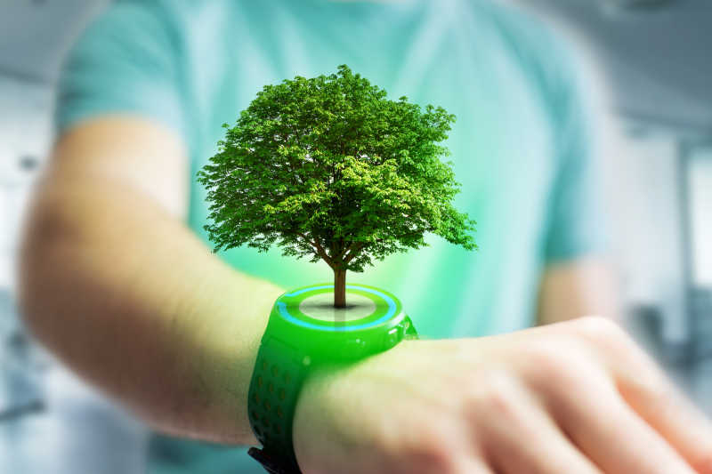 智能手机的绿色生态概念