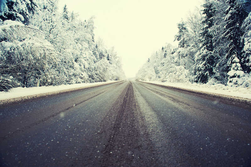 雪季树木和公路