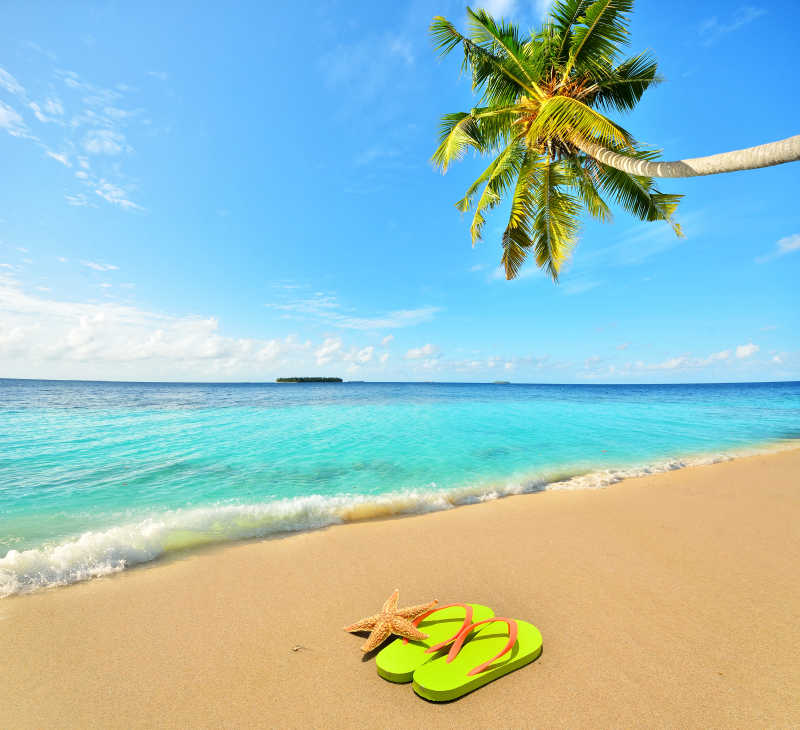 热带金色沙滩上的绿色拖鞋