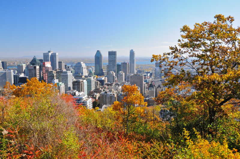 秋季从山上俯瞰城市景观