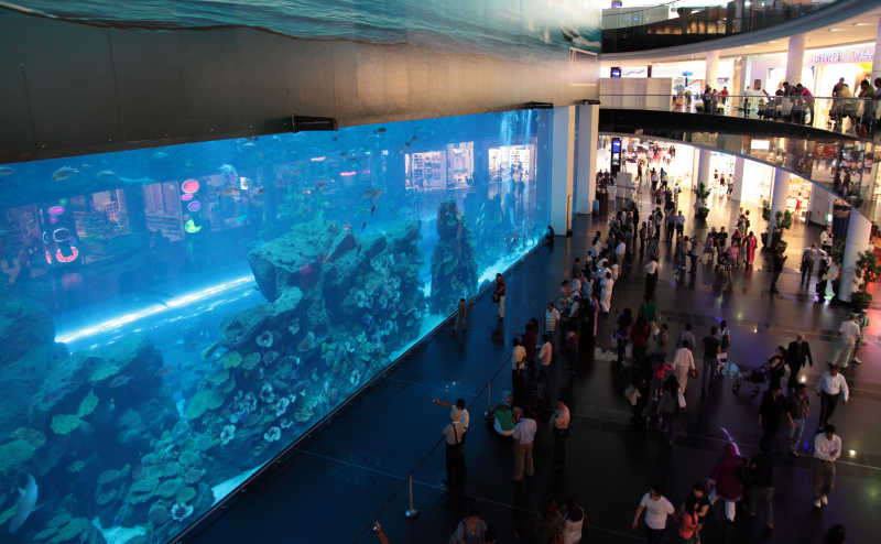 在迪拜购物中心水族馆的景色
