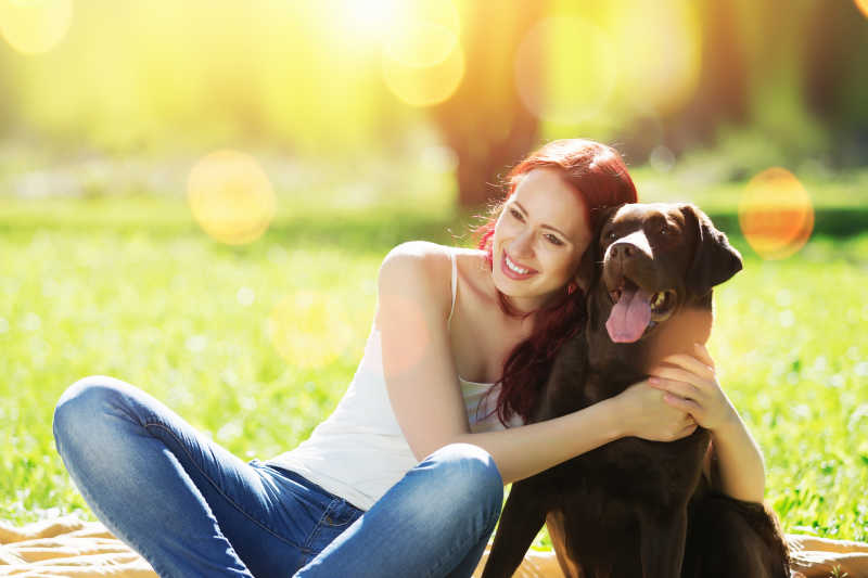 阳光灿烂的太阳下公园草地上的美女与她的狗狗
