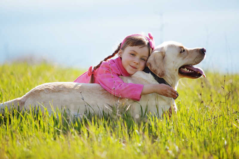 田野里玩耍的小女孩和她的狗狗