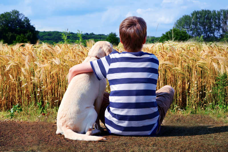 稻田前面的大男孩和他的狗狗