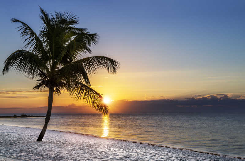 佛罗里达州日落晚霞黄昏下的海滩风景