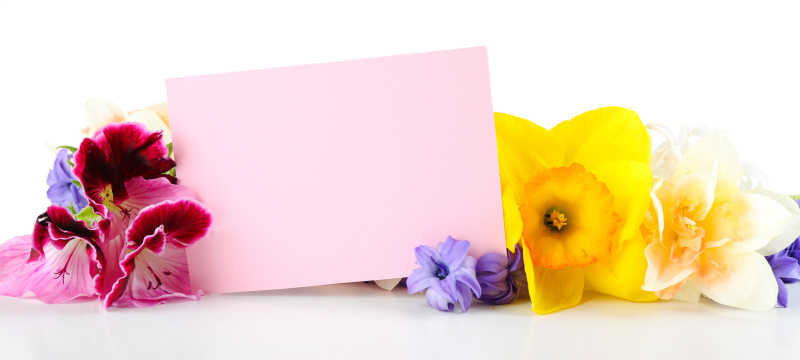 白色背景下的色彩缤纷的花朵和空白卡片