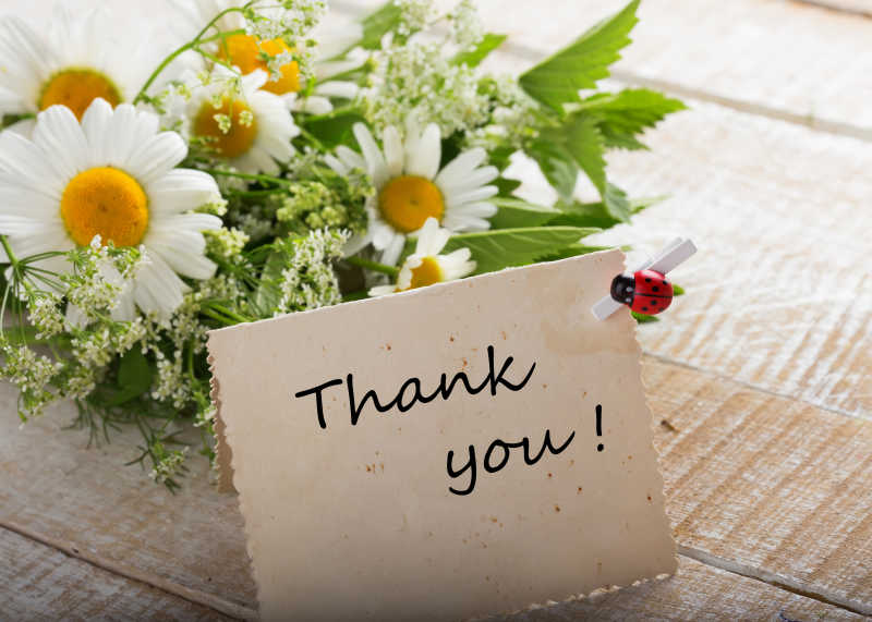 木制桌面上的白色的野花和感谢卡片