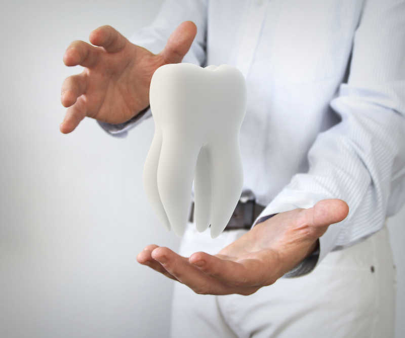 白色背景下牙医手里展示的白色牙齿模型