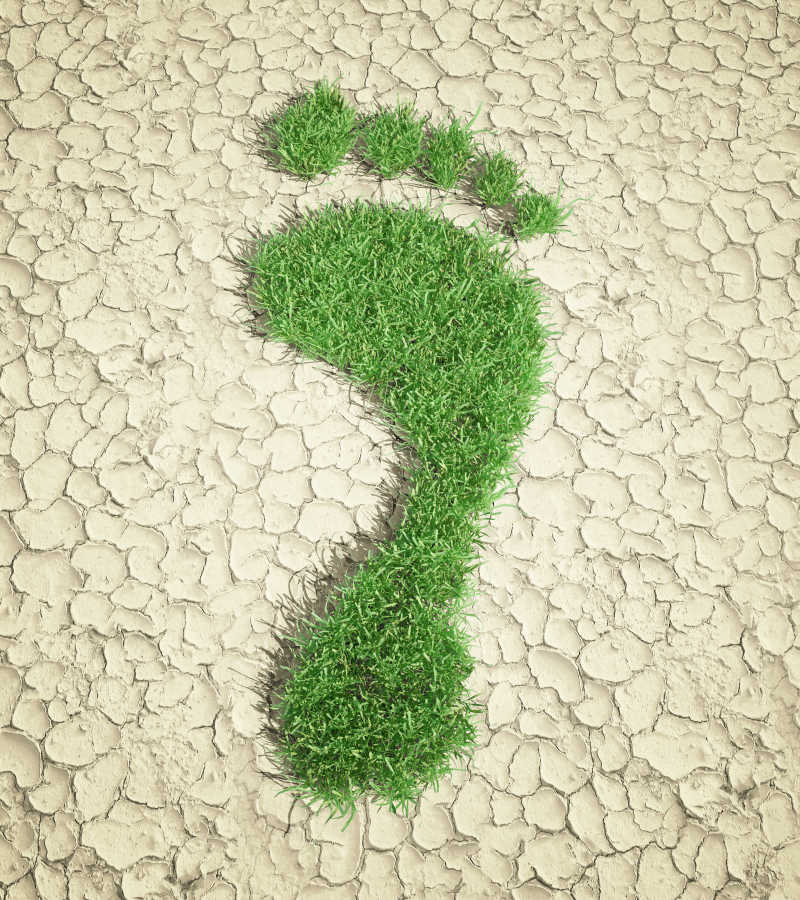 缺水的地上的绿色的足迹代表的环保概念