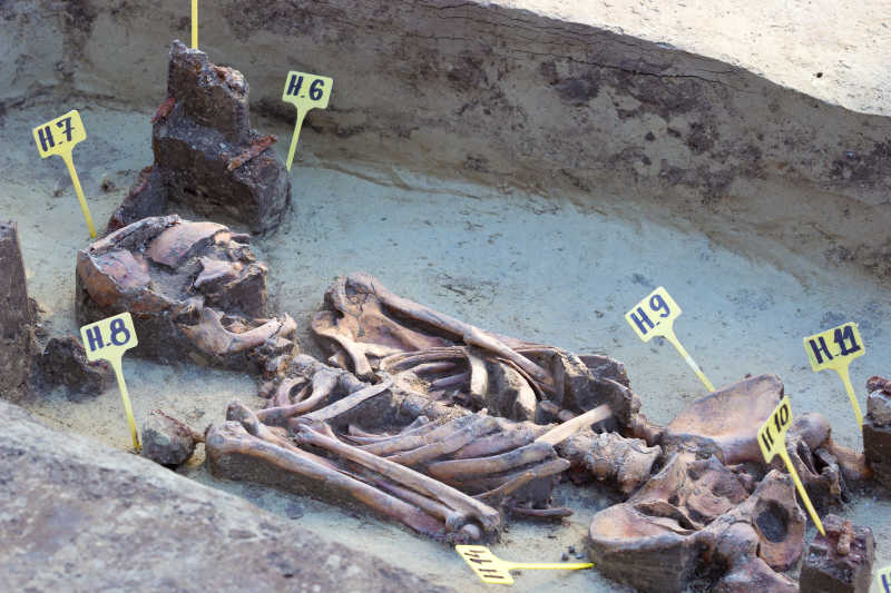 考古挖掘出的人骨