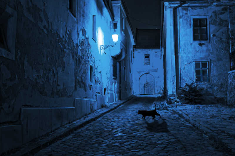 黑猫在夜晚在空无一人的街道