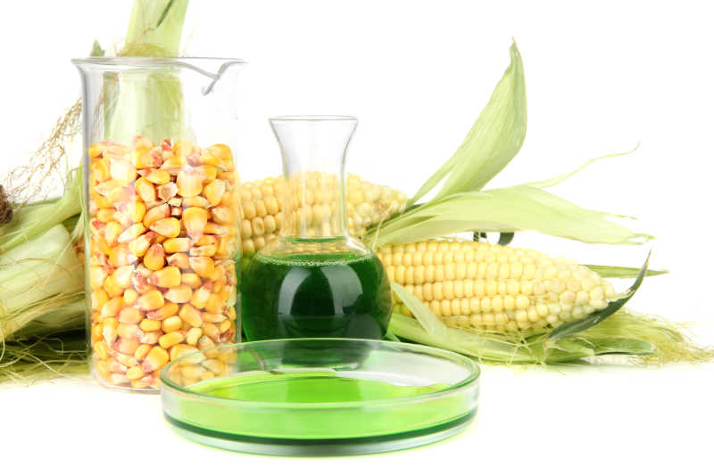 白色背景上的玉米和容器中的绿色液体