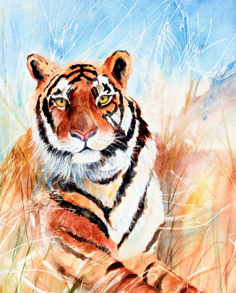 最高の品質 朝鮮の一級画家 水墨画 水彩 とら 3匹の老虎 238X95cm aob