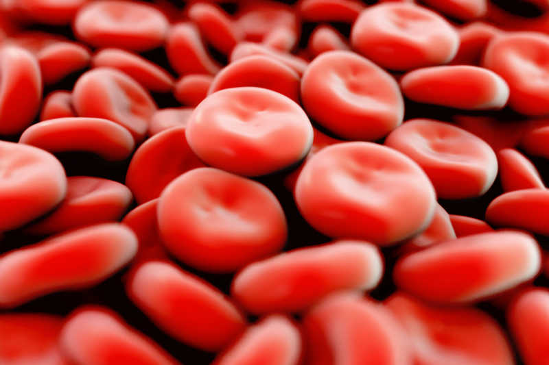 红血球细胞3D高清呈现