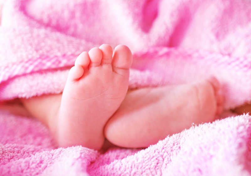 粉色毛巾里的婴儿脚底板