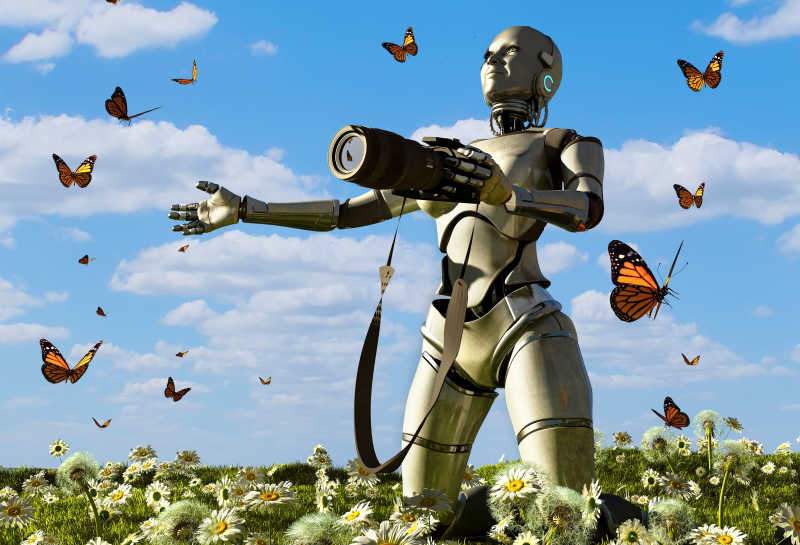草地上用相机拍摄蝴蝶的机器人