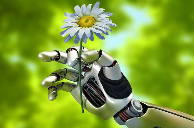 机器人手中的花朵