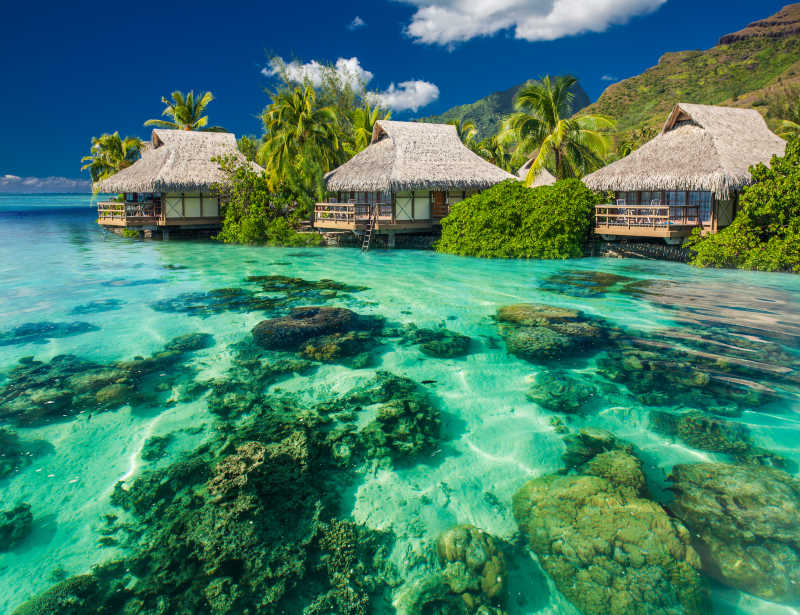 美丽的上方和水下珊瑚景观的热带度假村