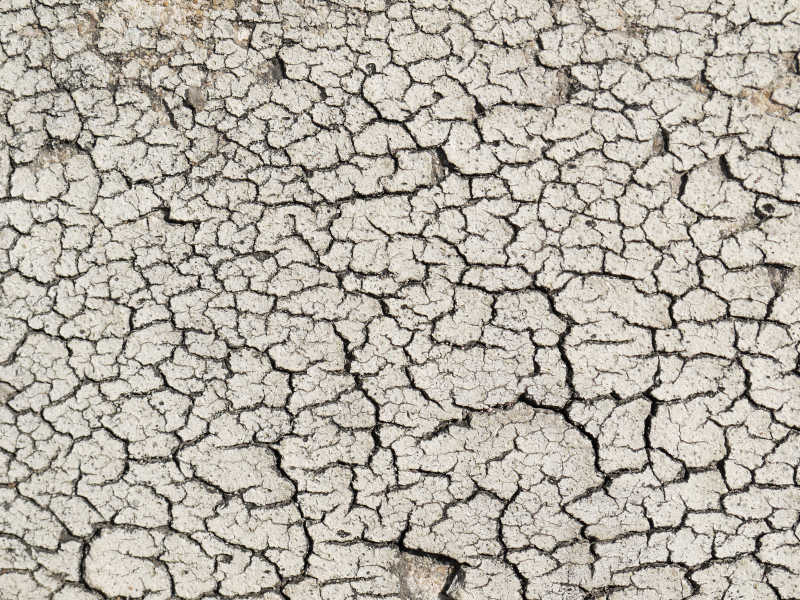 灰色的因干旱开裂的土壤裂纹纹理