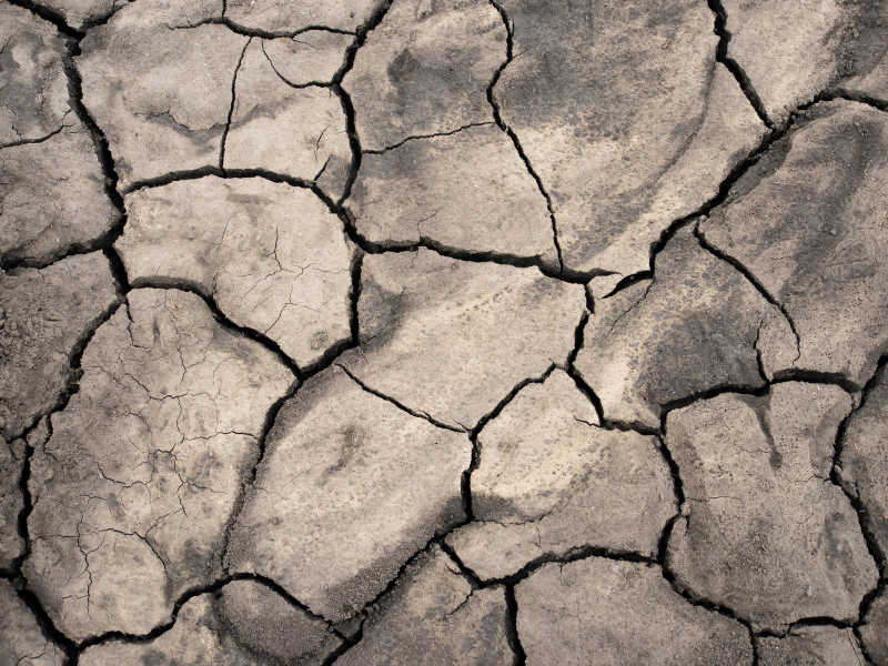 灰褐色的因干旱而裂开的土壤