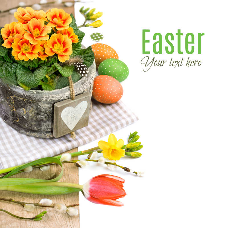 复活节彩蛋和一盆花·