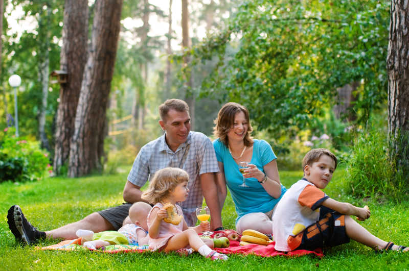 晴朗的日子里在户外野餐的欢乐一家人