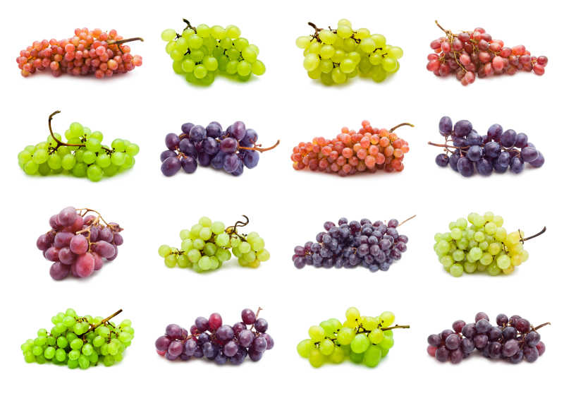 各种不同品种的葡萄