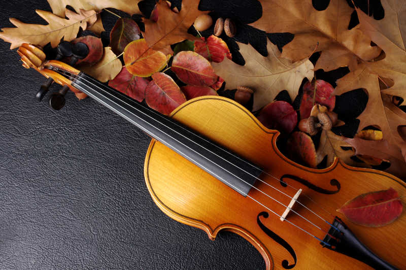 深色背景上的秋叶和小提琴
