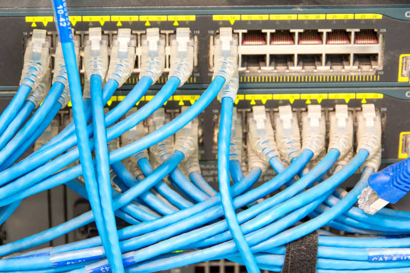 蓝色的网络电缆插在数据的接口上