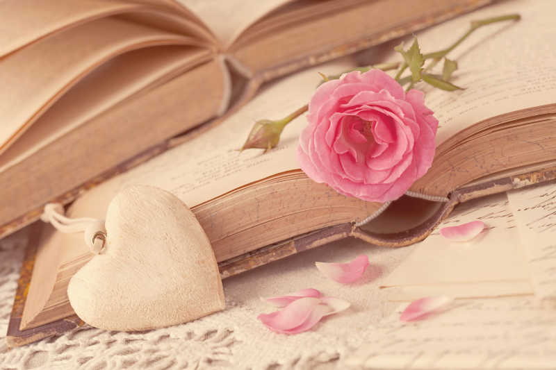 粉色花朵与书本