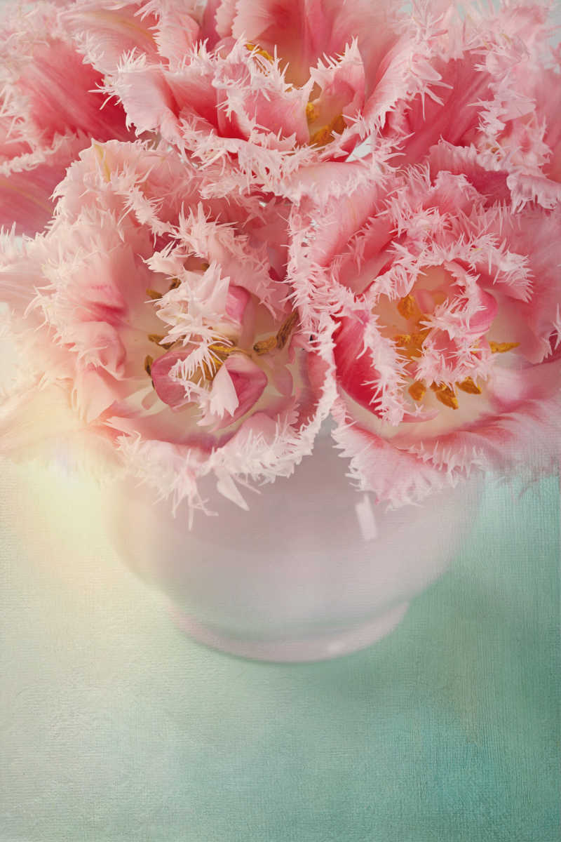 粉色花瓶里的粉色花束