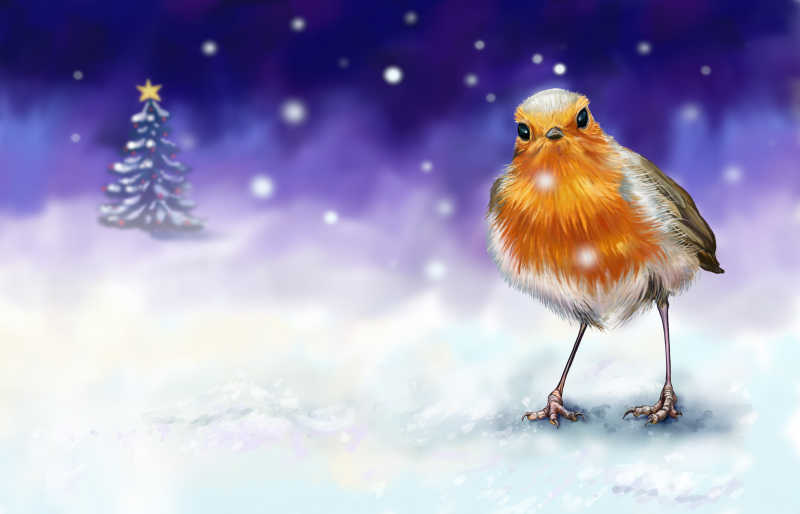 圣诞贺卡上的小鸟