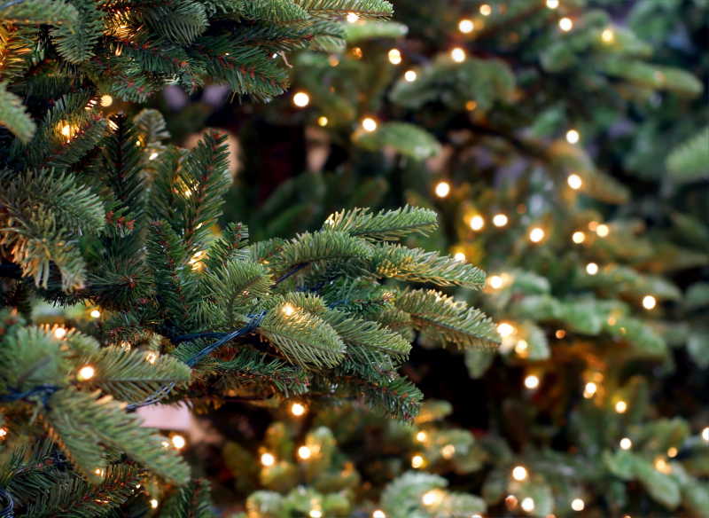 绿色的圣诞树上的各种小彩灯