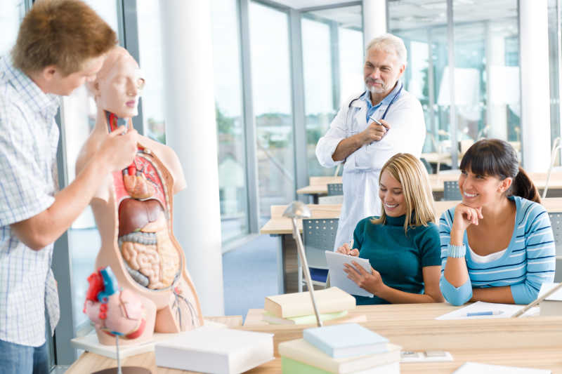 学医学生的课堂教学模式与人体解剖学模型