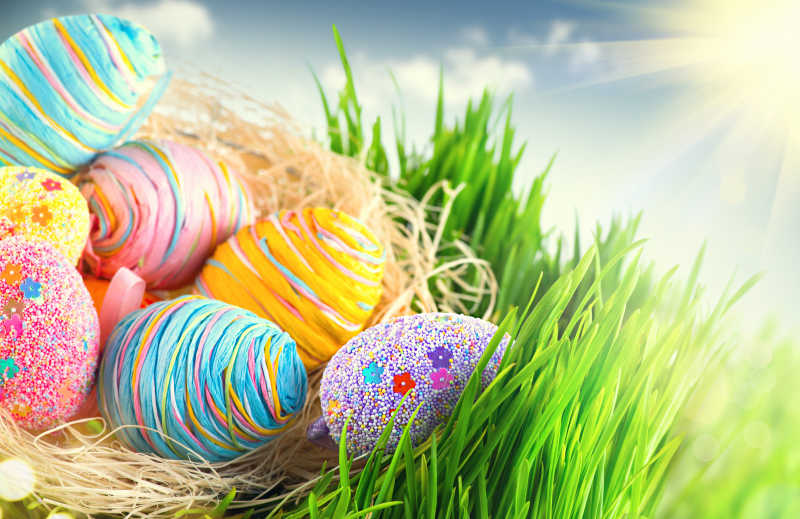 春天草地上的复活节的彩蛋