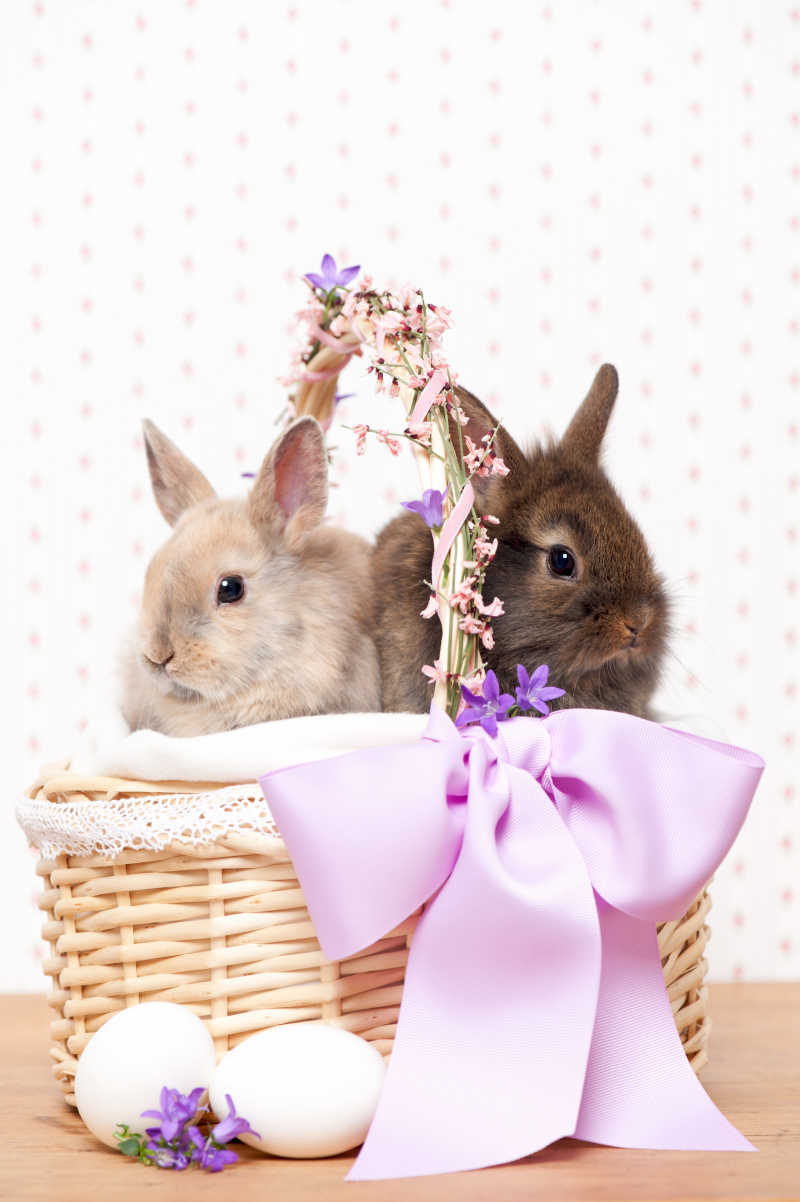 篮子中的两只兔子