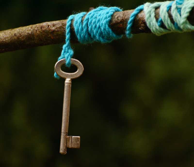 树干上的蓝色绳与钥匙