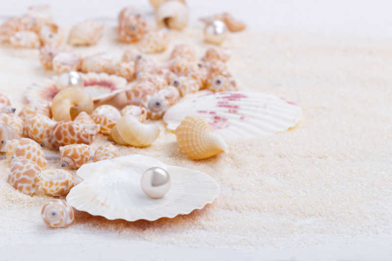 细沙上的贝壳海螺和珍珠