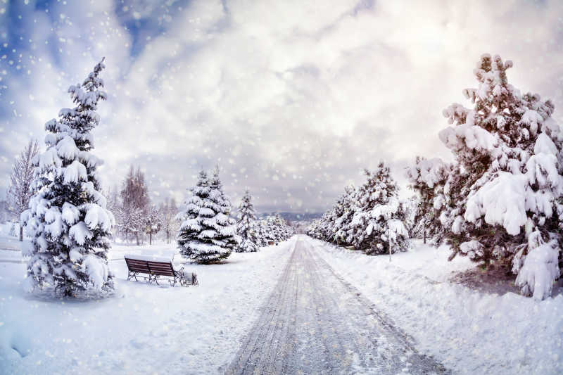 冬季白雪皑皑的公园美景