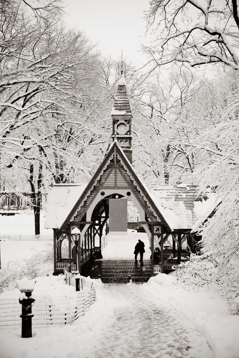 冬季雪后的曼哈顿中央公园