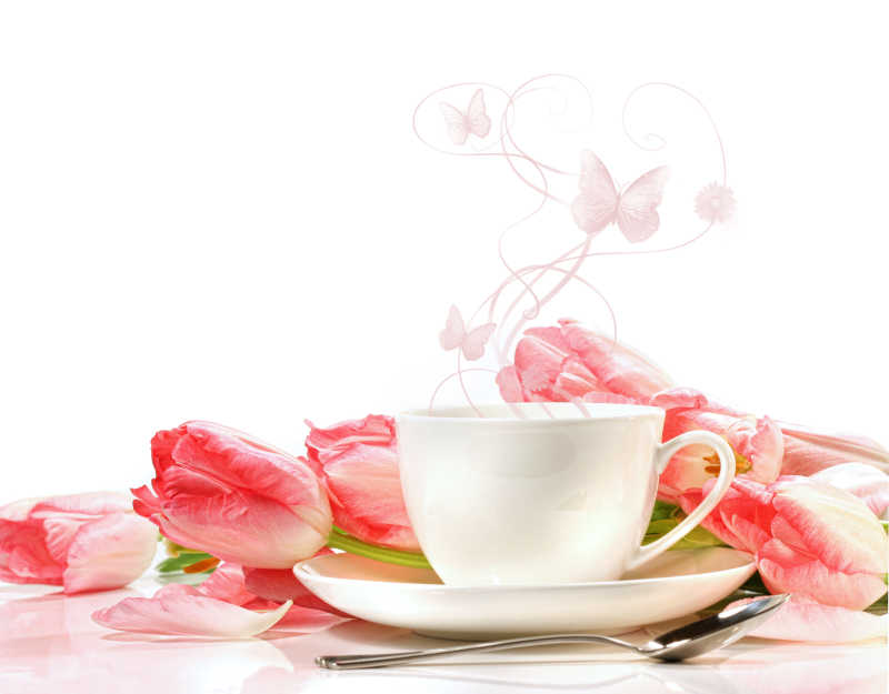 白色背景下的粉红色郁金香和白色茶杯