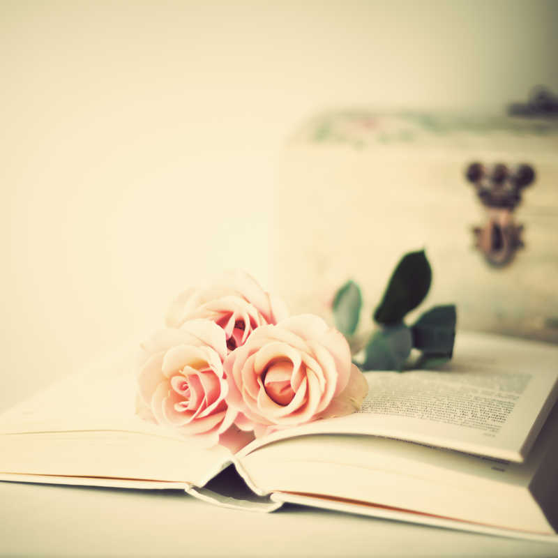 翻开的书上躺着几只粉红色的玫瑰花
