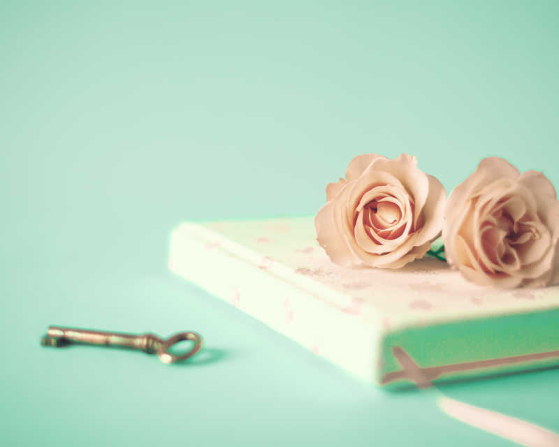 书上摆放的两只粉红色玫瑰花