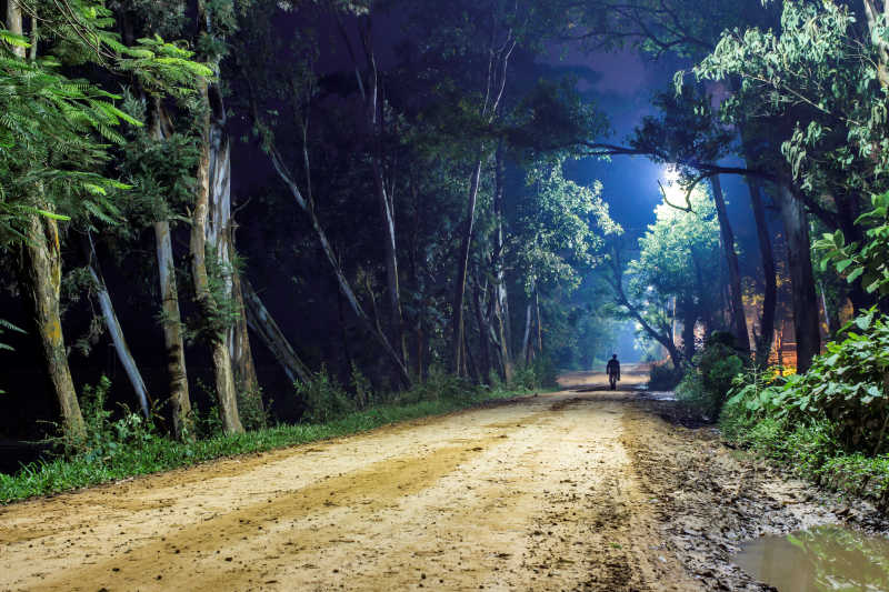 孤独的人行走在夜晚的森林小路上