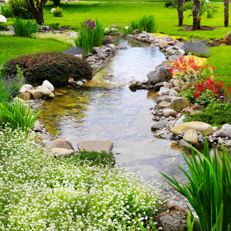 用水池在亚洲花园里开春花