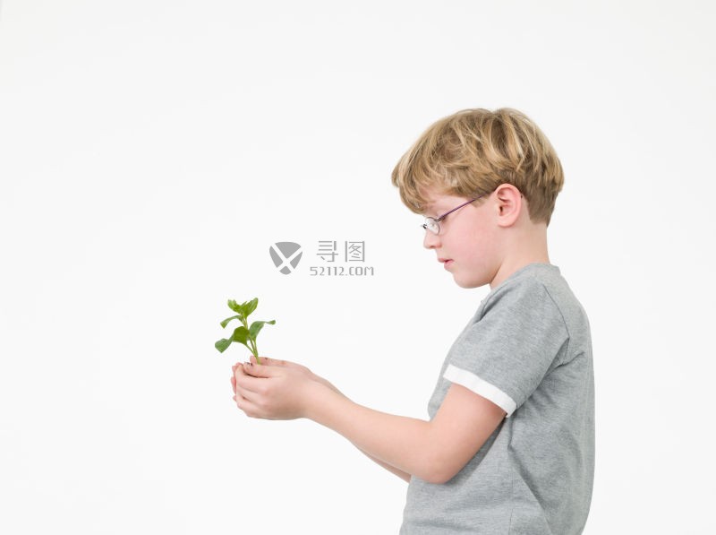 手里捧着一株植物的小男孩