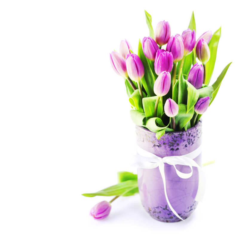 紫色花瓶里的紫色郁金香